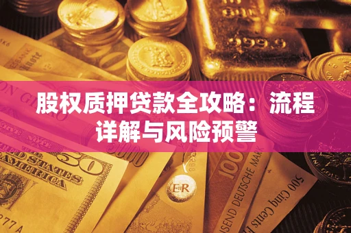 北京股权质押贷款全攻略：流程详解与风险预警