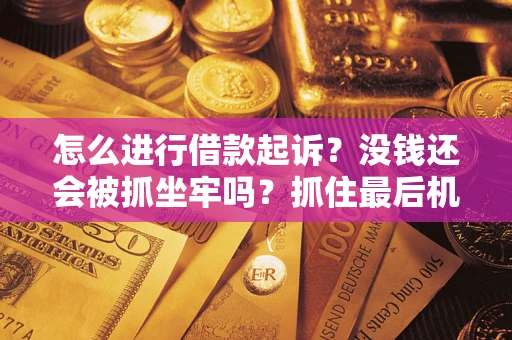 北京怎么进行借款起诉？没钱还会被抓坐牢吗？抓住最后机会！