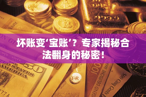 北京坏账变‘宝账’？专家揭秘合法翻身的秘密！