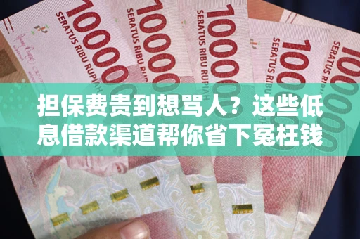北京担保费贵到想骂人？这些低息借款渠道帮你省下冤枉钱