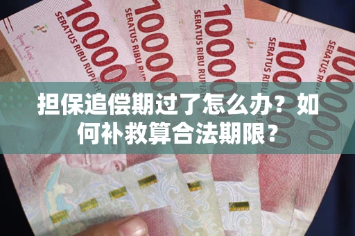 北京担保追偿期过了怎么办？如何补救算合法期限？