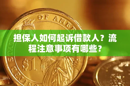北京担保人如何起诉借款人？流程注意事项有哪些？